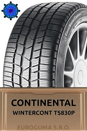 CONTINENTAL WINTERCONT TS830P 295/40 R20 110W FR XL