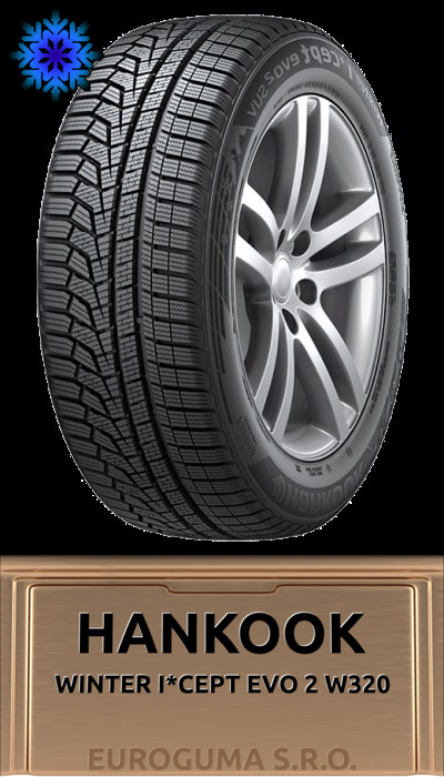 HANKOOK WINTER I*CEPT EVO 2 W320 225/55 R16 95H FR